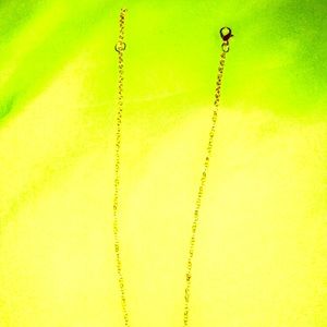 Genuine Gold Necklace Choker